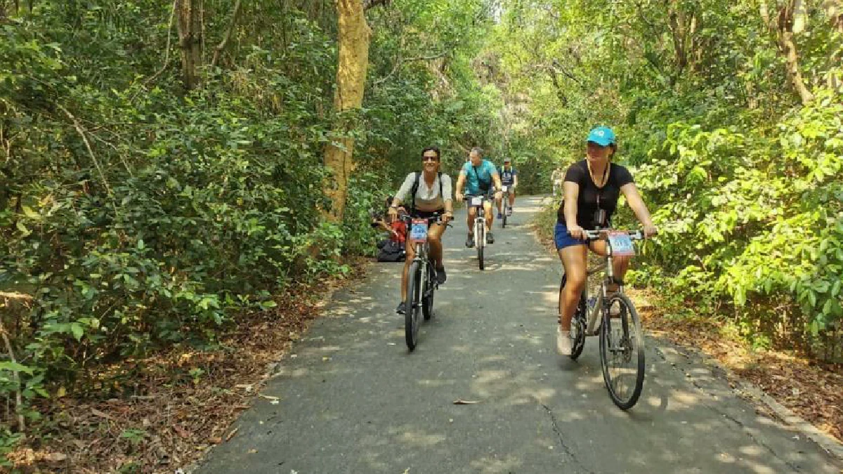 Bangkok Zoo Safari Cycling Tour 2 Days
